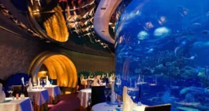 En Dubai: Los Mejores Restaurantes.