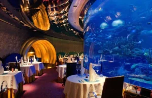 En Dubai: Los Mejores Restaurantes.