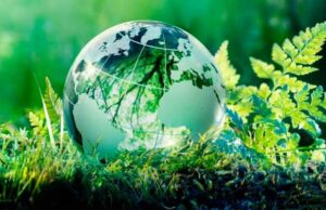 Conoce cinco innovaciones para lograr un mundo sostenible